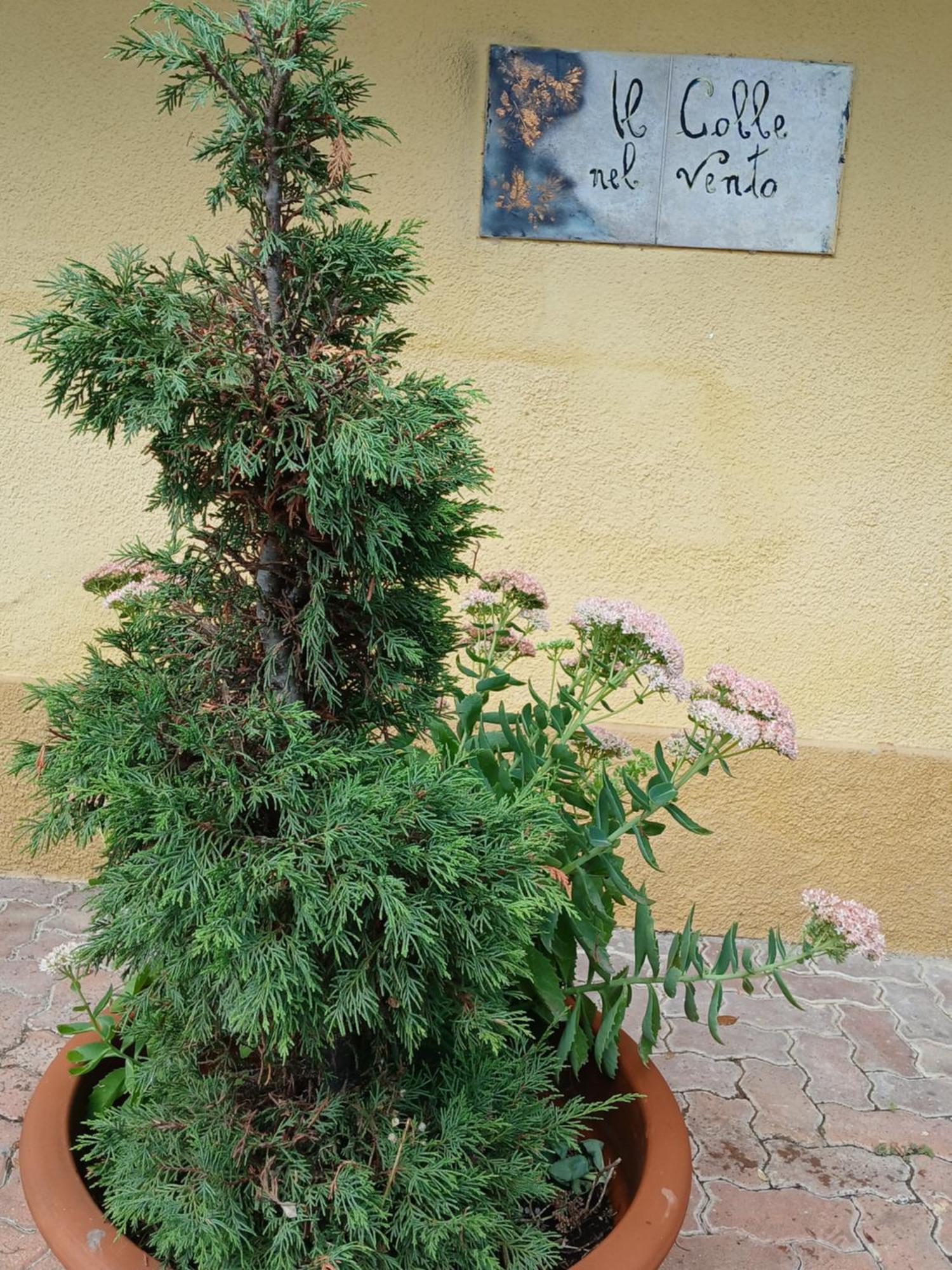 Calosso Casa Vacanza Il Colle Del Vento מראה חיצוני תמונה