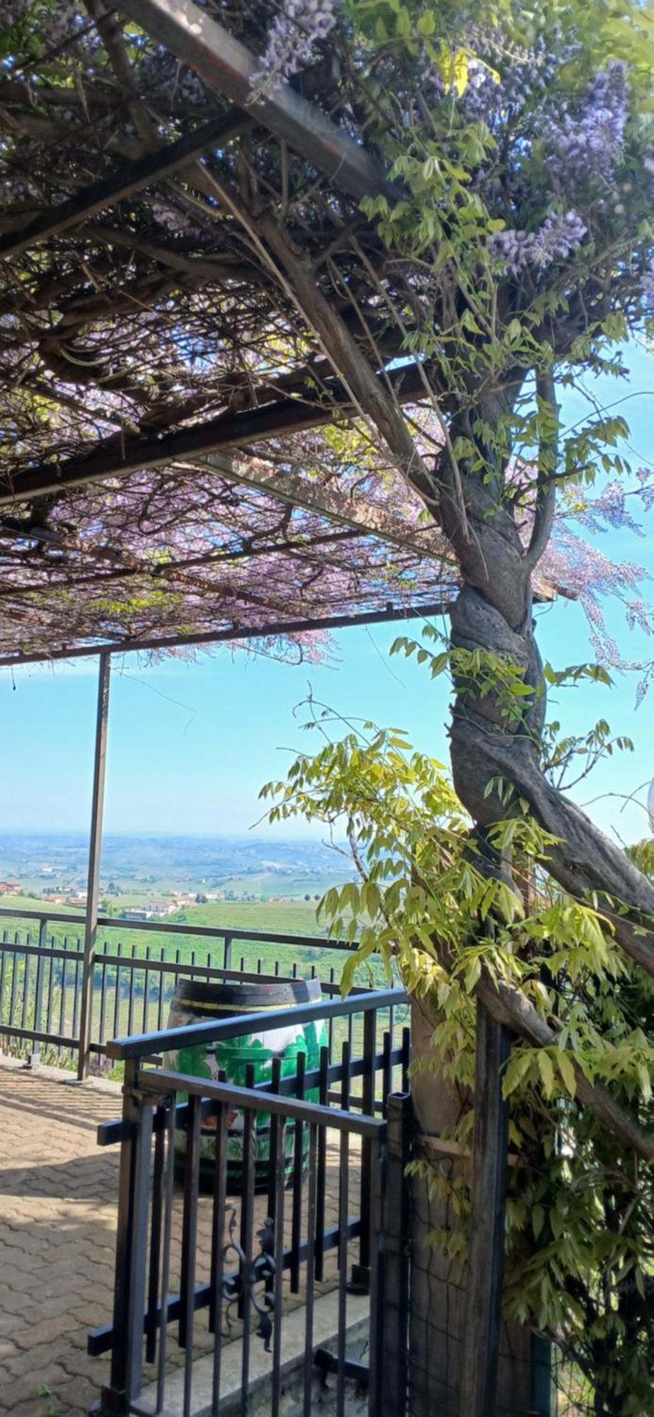 Calosso Casa Vacanza Il Colle Del Vento מראה חיצוני תמונה